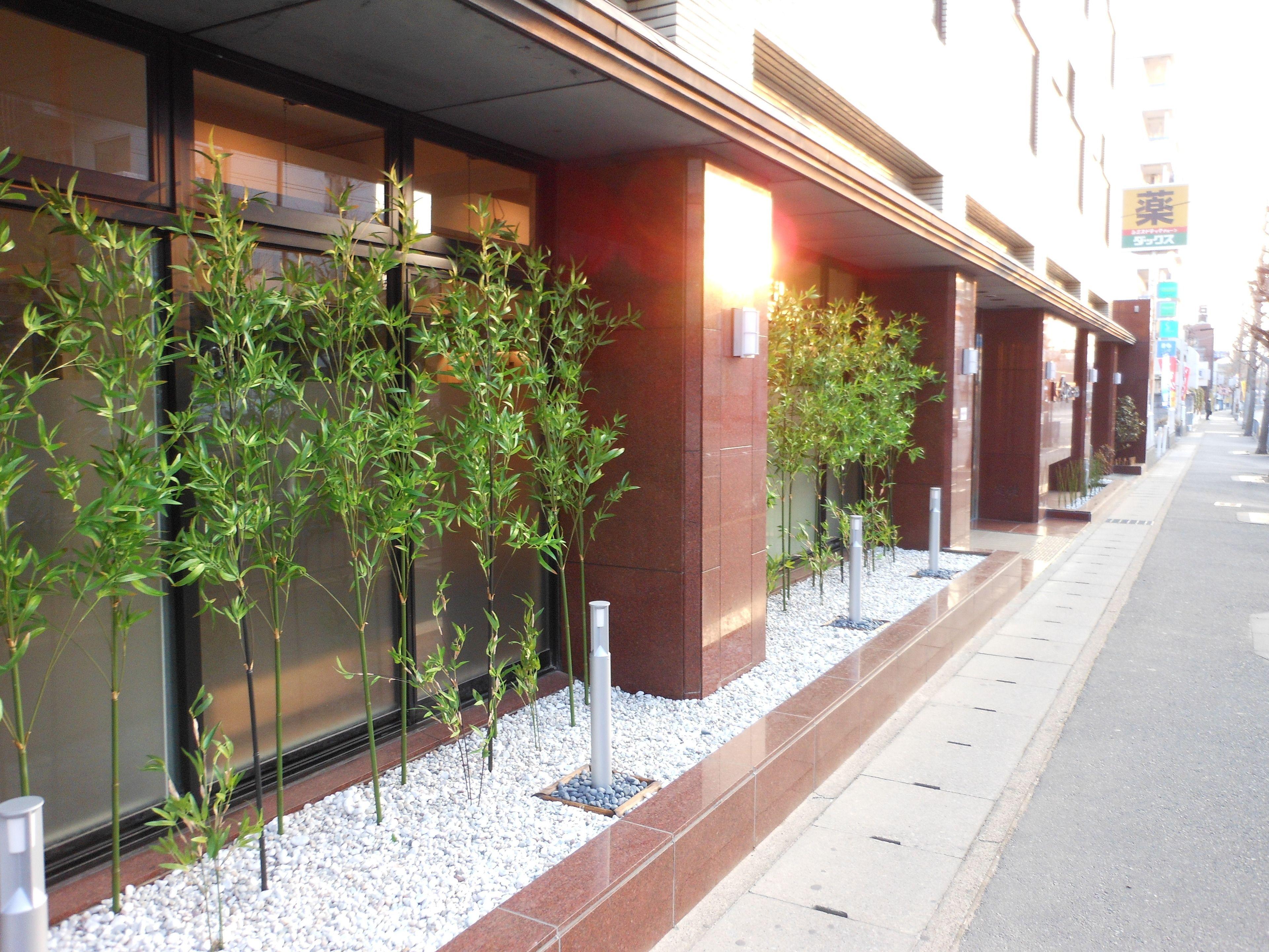 Saga Grace Hotel — Photos 1